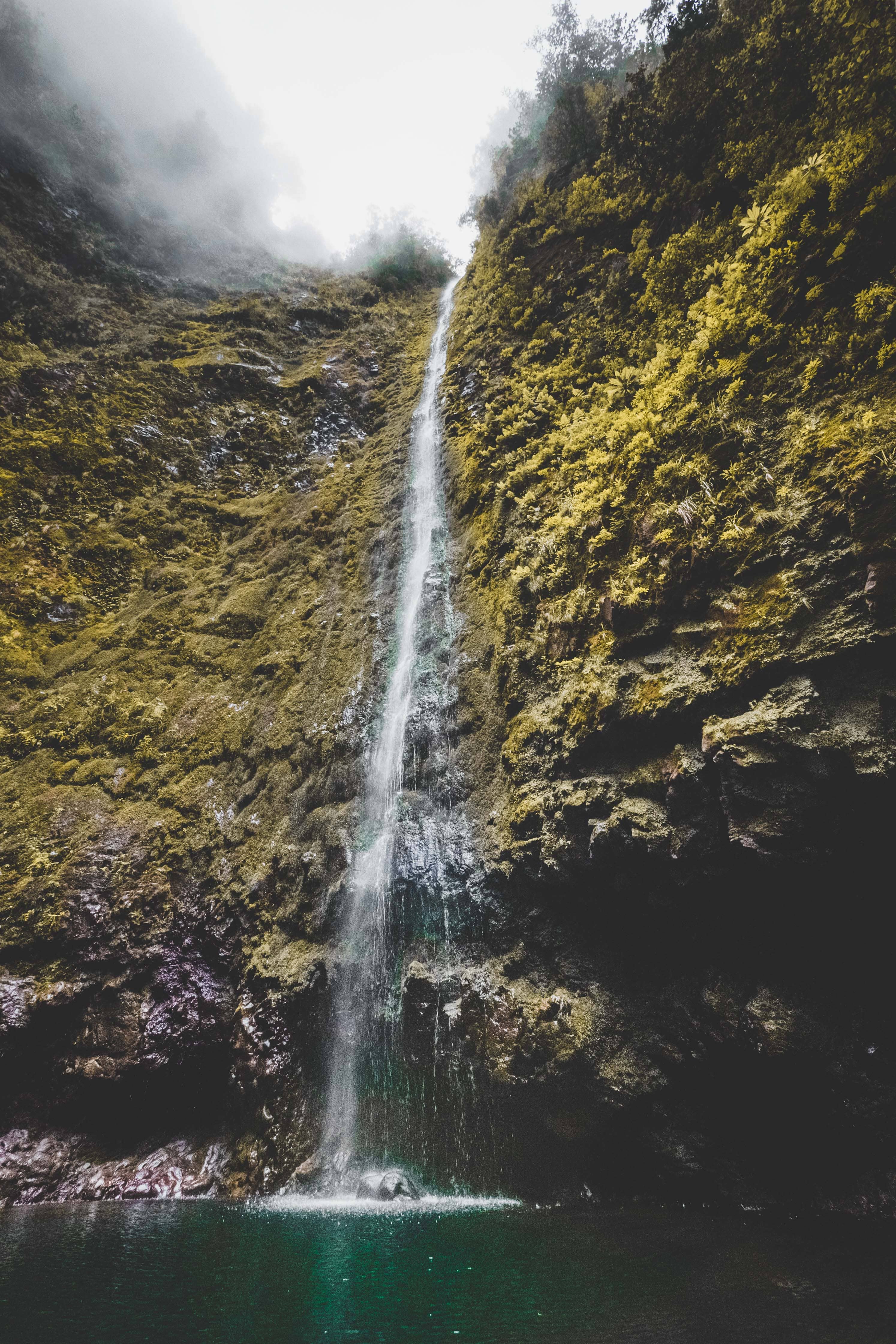 Mahalo galeria